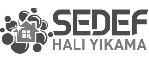 Logo-footer
